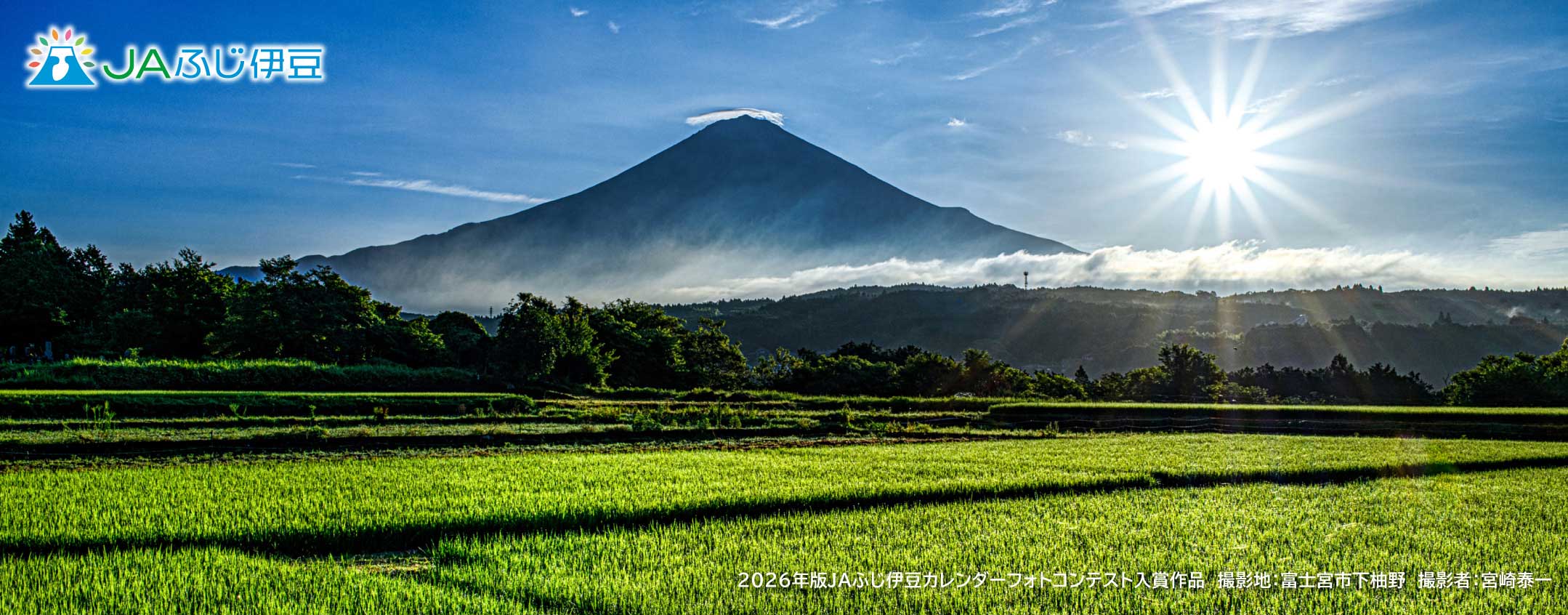 2026年版JAふじ伊豆カレンダーフォトコンテスト入賞作品_7月