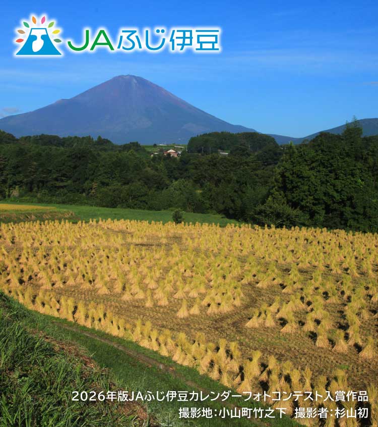 2026年版JAふじ伊豆カレンダーフォトコンテスト入賞作品_9月