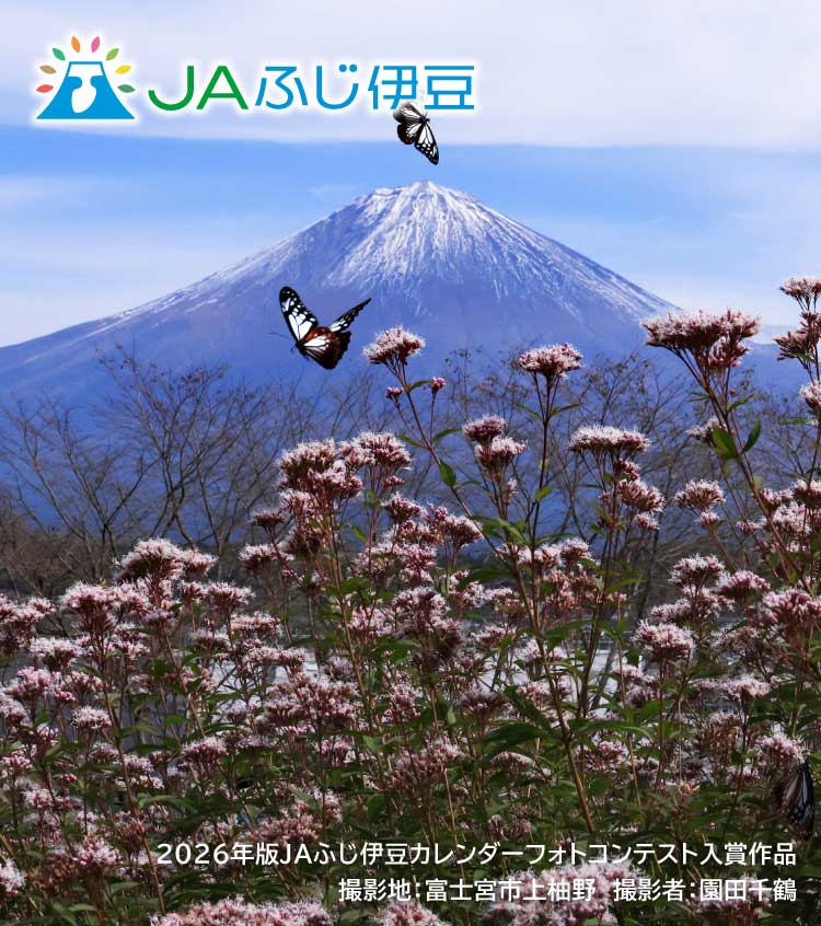 2026年版JAふじ伊豆カレンダーフォトコンテスト入賞作品_10月