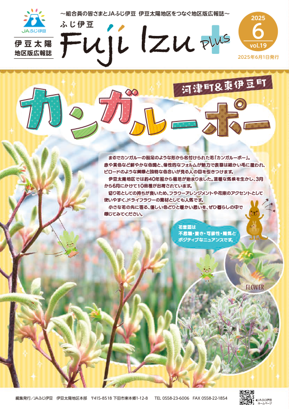 伊豆太陽版vol19