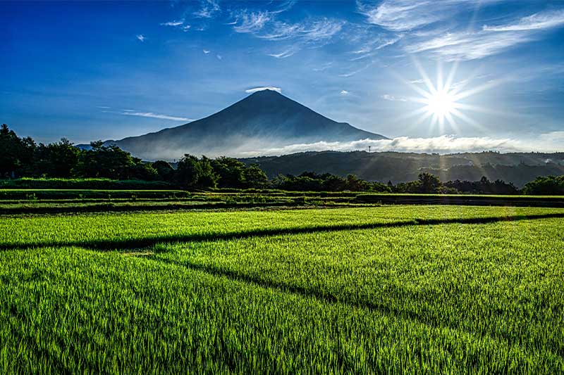 ７月