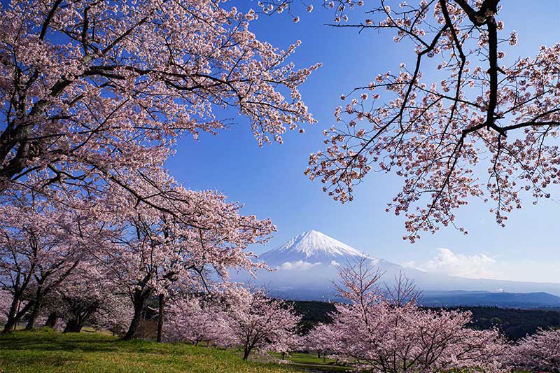 ３月