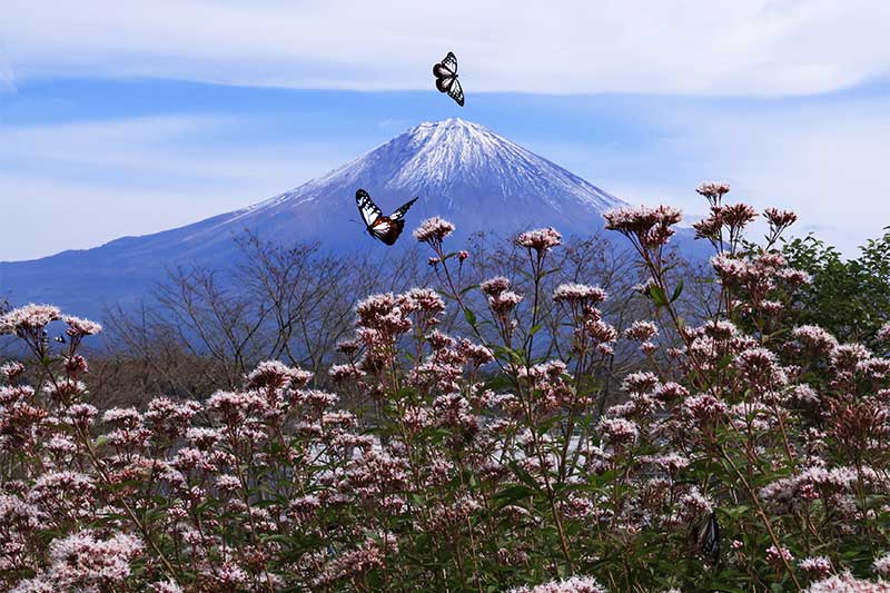 １０月