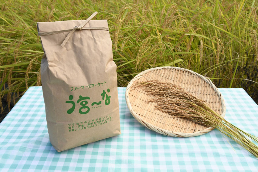 う宮米【名前変更ver