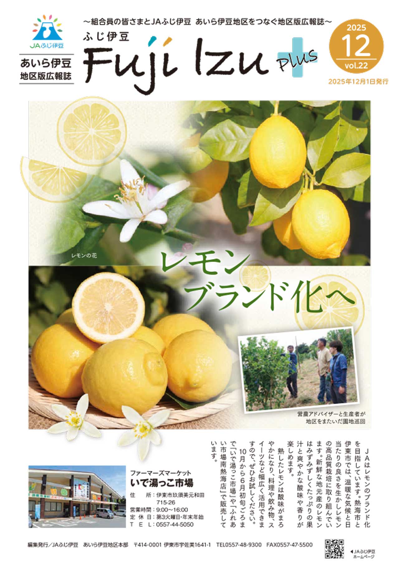 あいら伊豆12月表紙