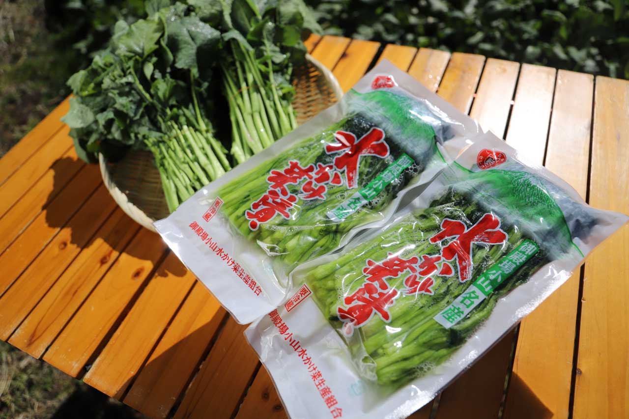 プレゼント写真