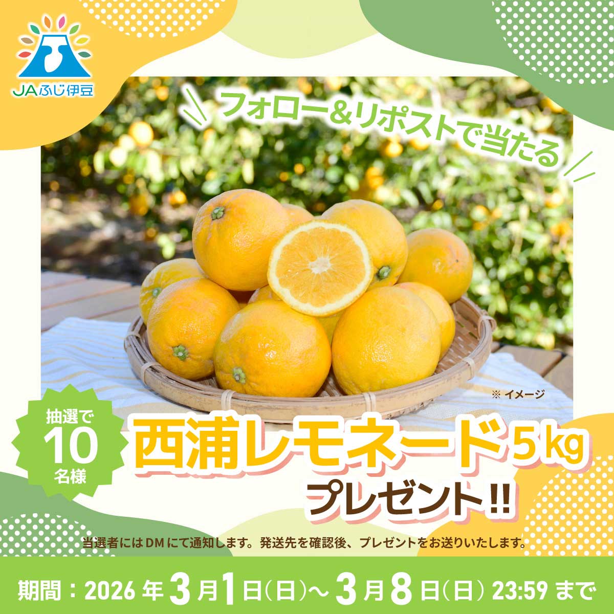 XプレゼントCP(西浦レモネード)