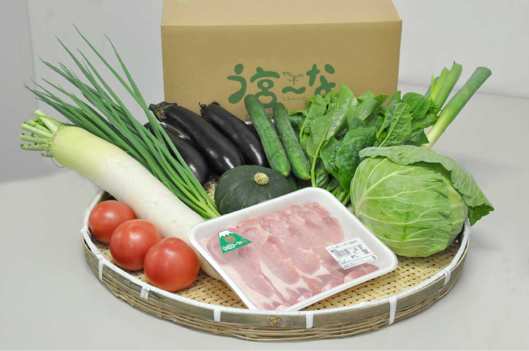 加工済P4-7【プレゼント】う宮～な野菜＆お肉の詰め合わせセット---コピー