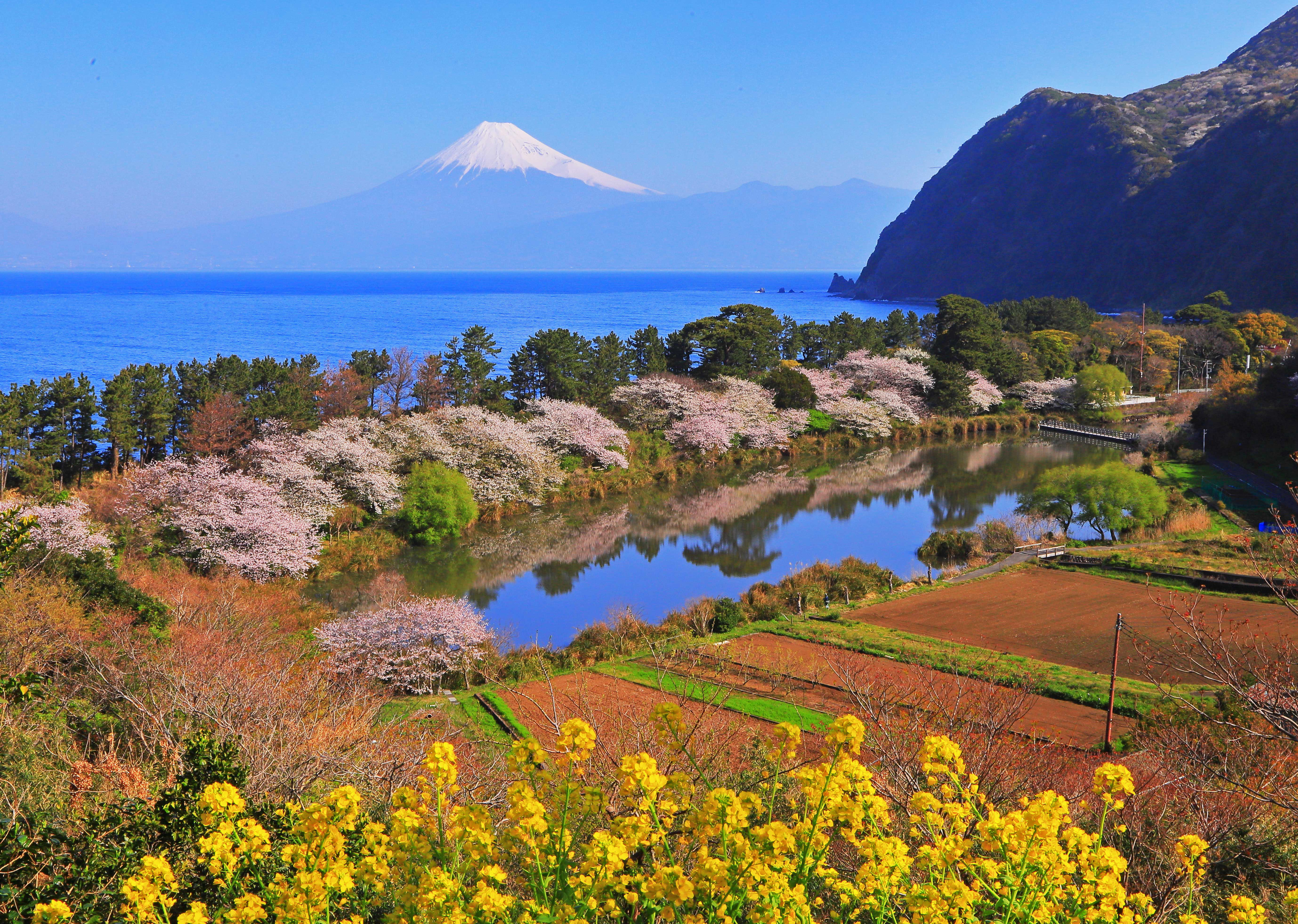 4月-花咲く彼方に